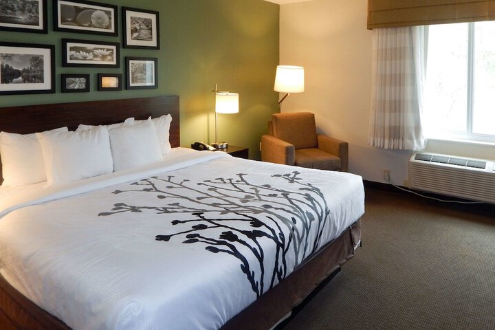 Room 14 of 46