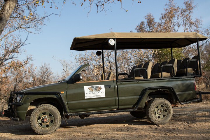 Safari