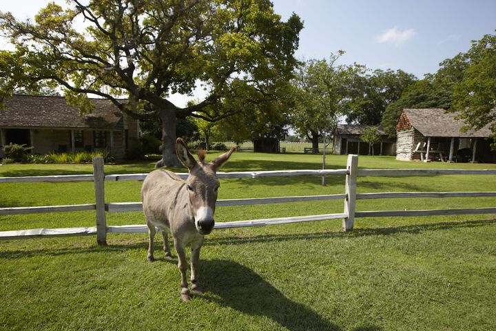 Property Grounds 47 of 55