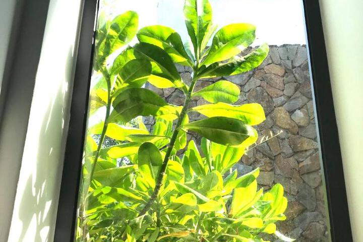General 41 of 89