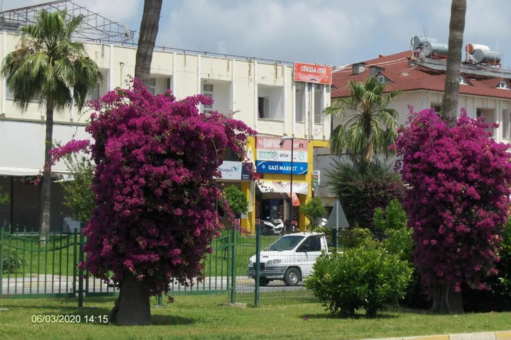 ODESSA OTEL