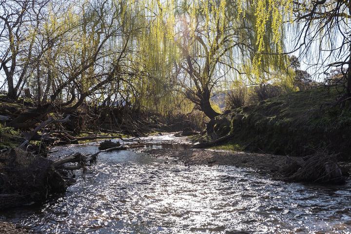 Property Grounds 35 of 41