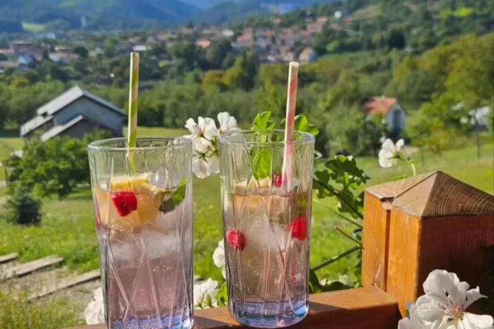 Brvnara Vrdnik