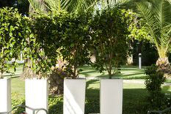 Dining 53 of 71