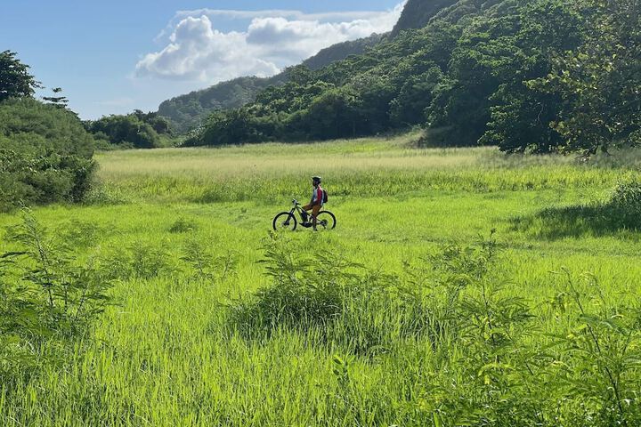 Bicycling