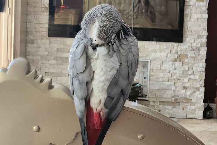 Childrens Activities 88 of 109