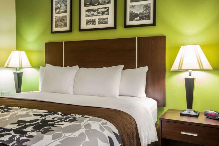 1 King Bed (6 of 8)