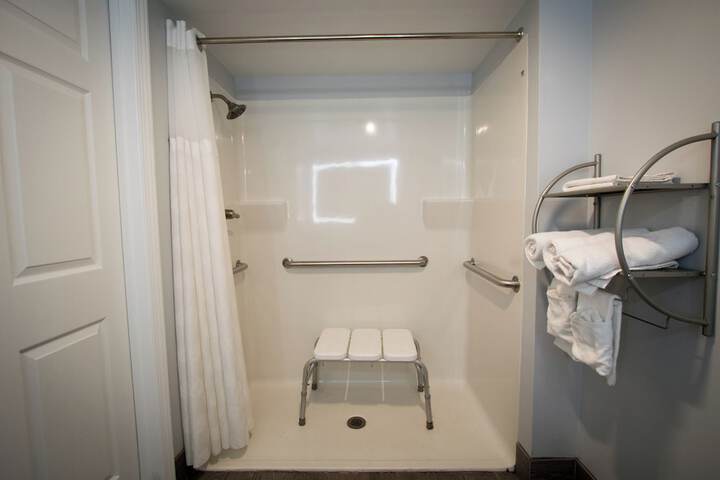 1 King Bed Pet Friendly Accessible (41 of 90)