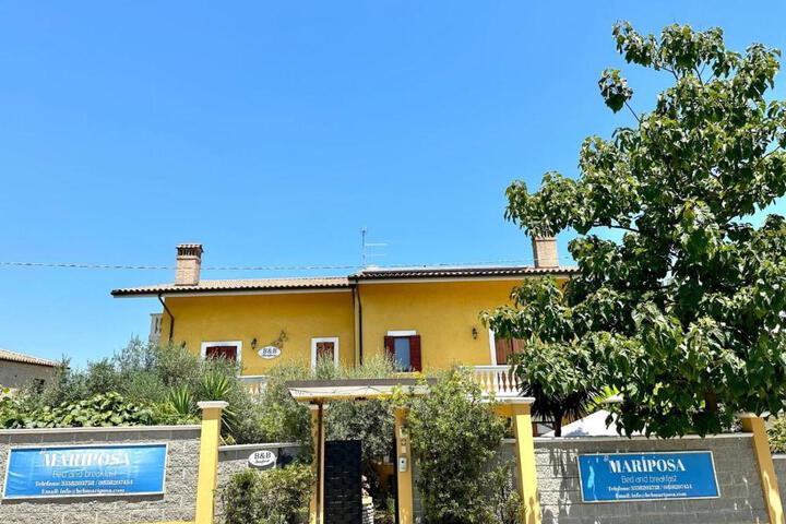 Photo 4