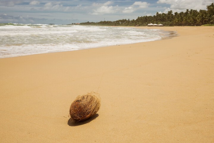 Beach 58 of 70