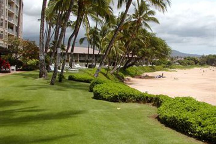 Property Grounds 86 of 90