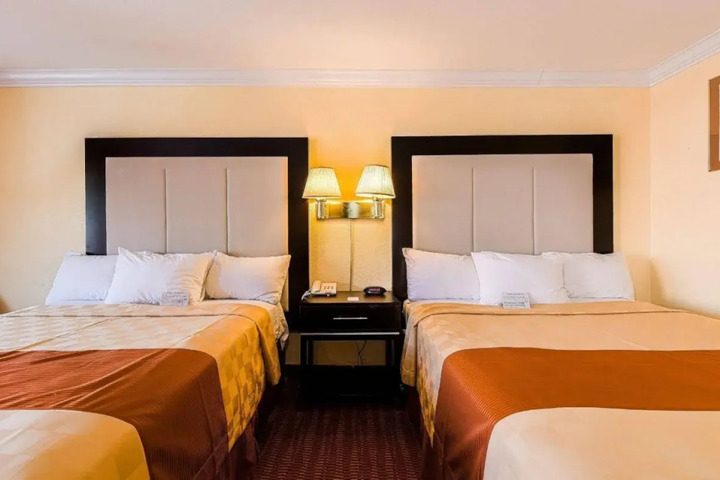 Guest Suite