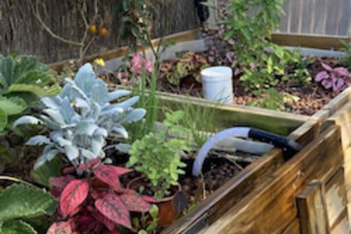 Terrace/Patio 157 of 243