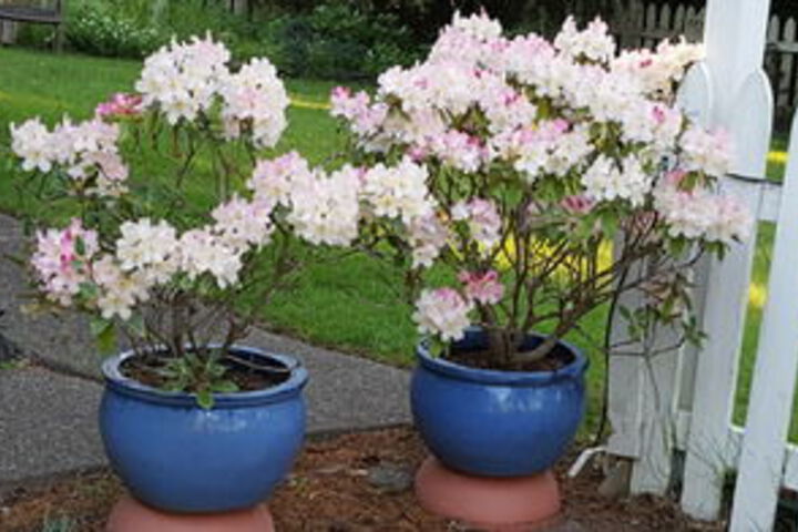 Hotel Exterior 39 of 126