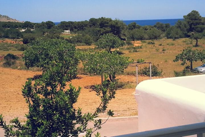 View from room