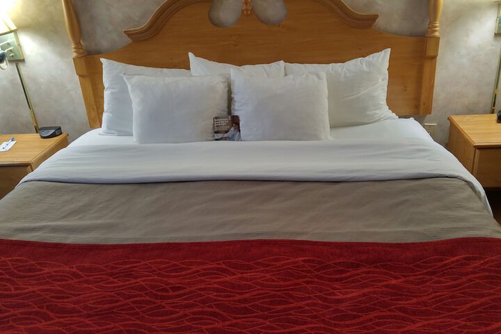 1 King Bed Accessible (4 of 32)