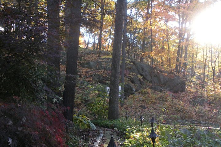 Property Grounds 57 of 66