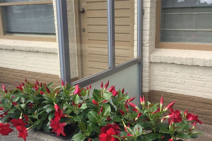 Terrace/Patio 9 of 16