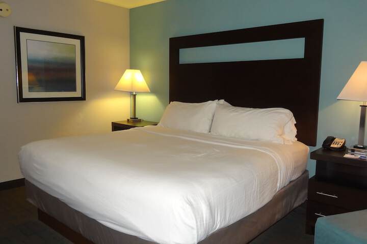1 King Bed (3 of 18)
