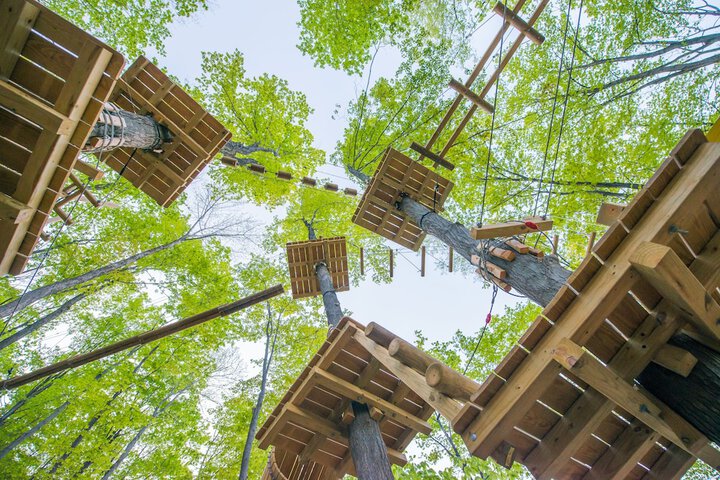 Ropes course (team building)