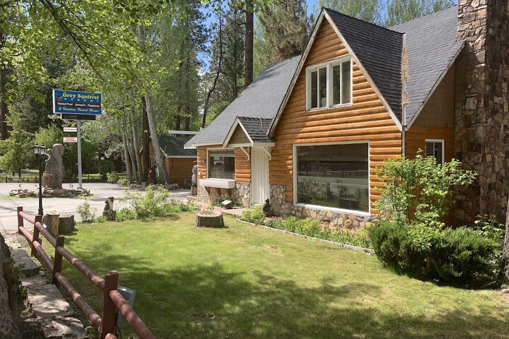 Grey Squirrel Resort in Big Bear Lake, CA