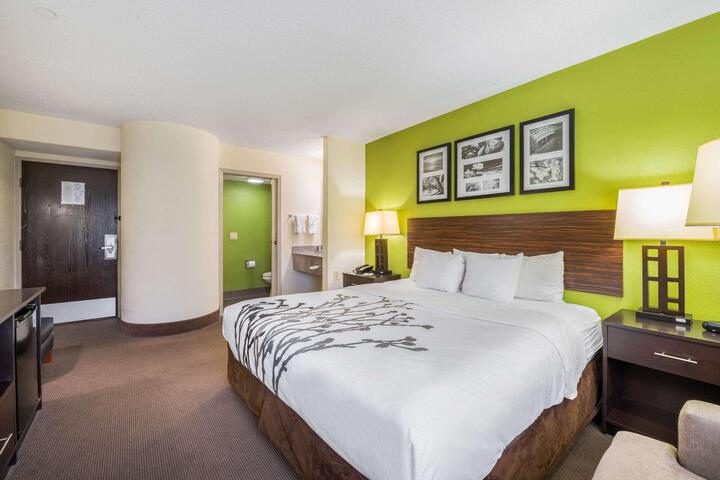 1 King Bed (3 of 7)