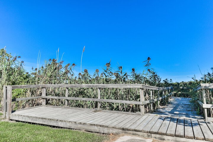 Sundeck