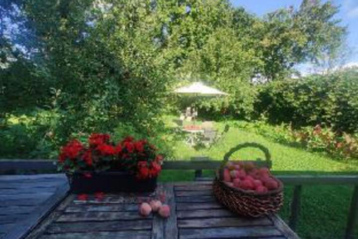 Graham Homestay
