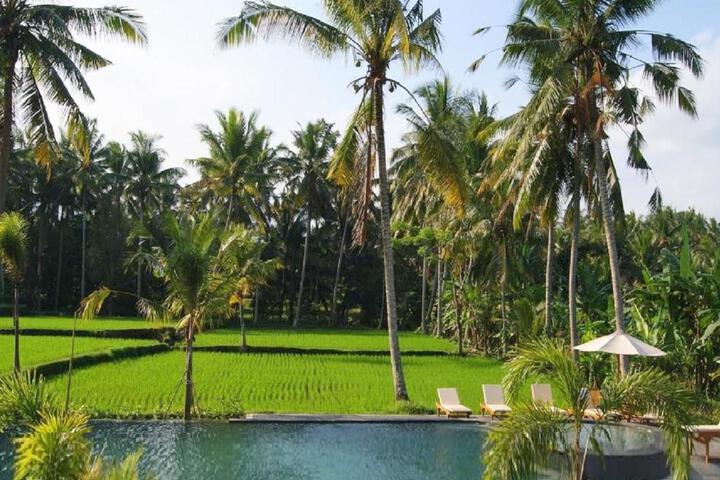 Image of Bhanuswari Villas Ubud