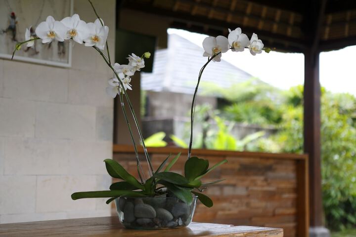 Hotel Interior 51 of 55