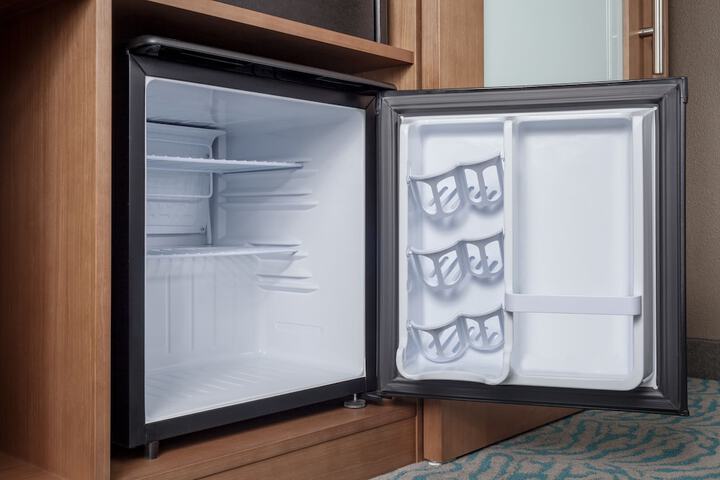 Mini-refrigerator