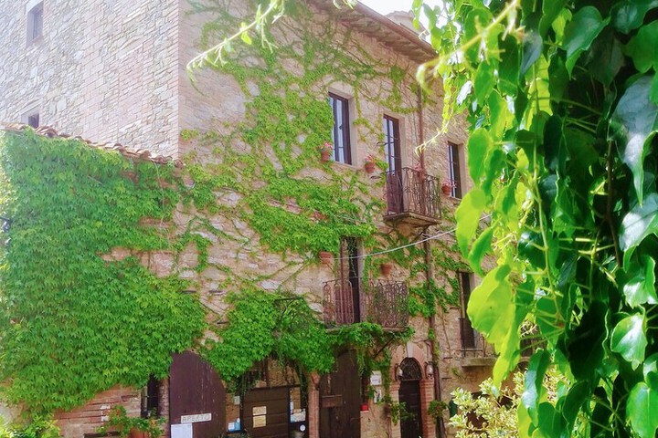 Agriturismo Borgo Cenaioli