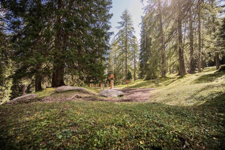 Property Grounds 11 of 22