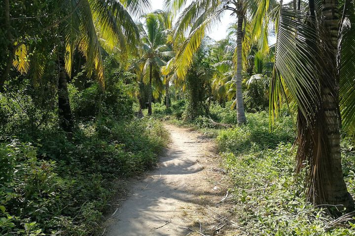 Property Grounds 16 of 28