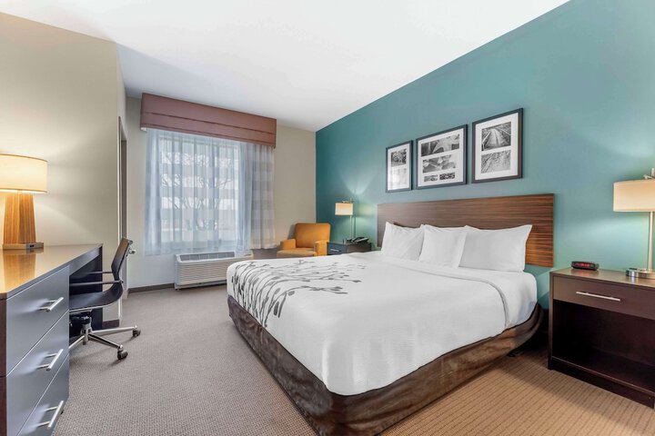 1 King Bed (16 of 20)