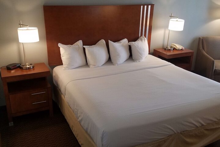 1 King Bed Flat Screen Television Microwave and Refrigerator High Speed Internet Accessible Continental Breakfast (19 of 20)