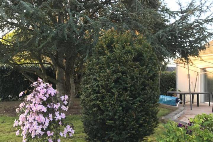 Photo 5