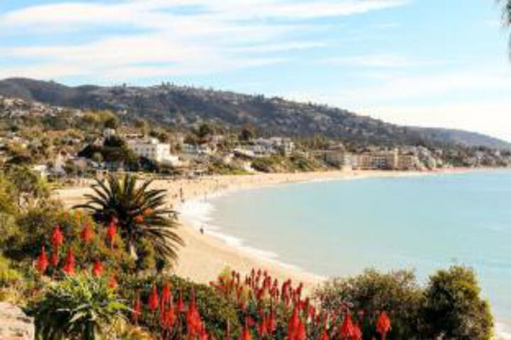 Photo of Laguna Riviera Beach Resort