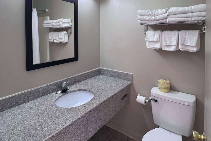 1 Queen Bed 2 Double Beds Suite (16 of 29)