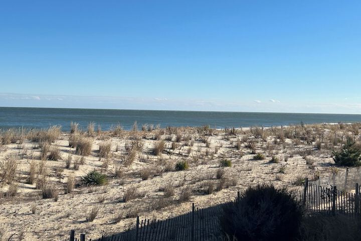 Beach 67 of 74