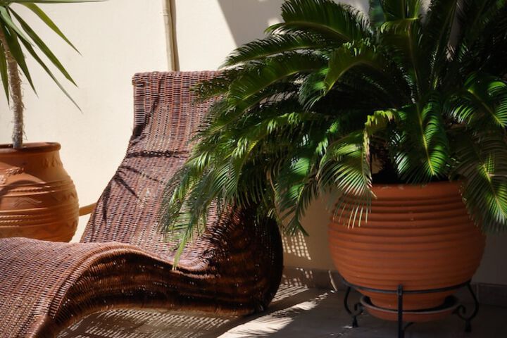 Terrace/Patio 32 of 38
