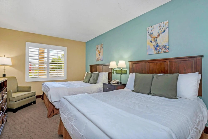 Room 4 of 19