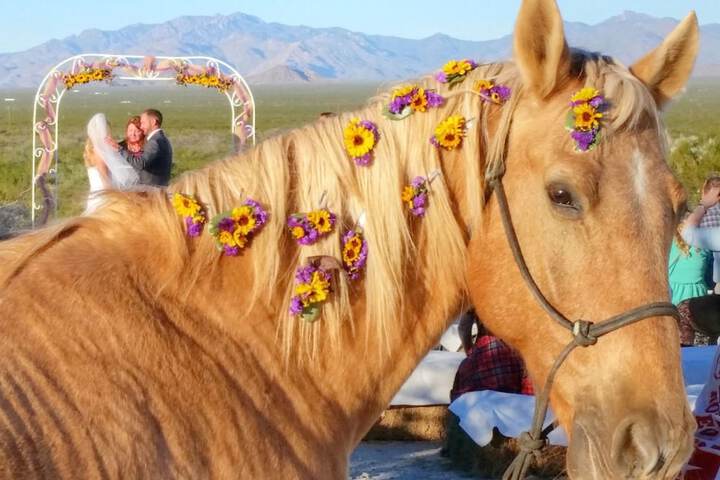 Wedding/Banquet 70 of 81