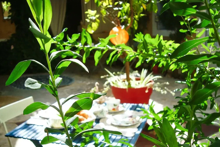 Photo 11