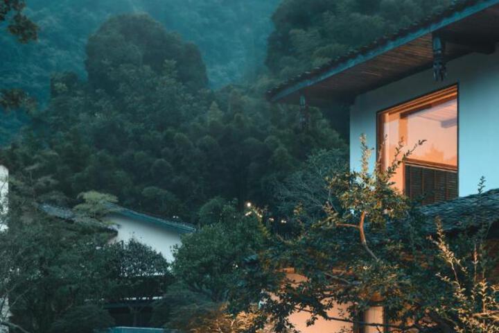 Photo of YunXi ChanYi Forest Soup Spring Resort Hotel Provides pick-up service and tea leaves,Drink Chinese wild tea leaves