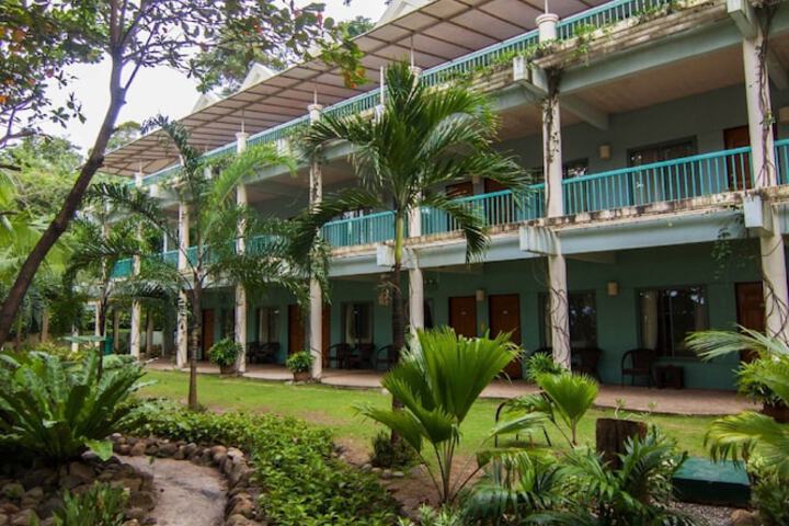 Garden view