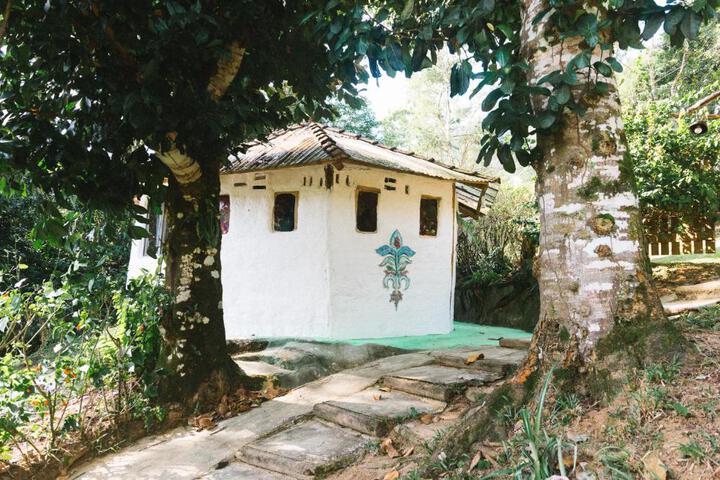 Photo 9