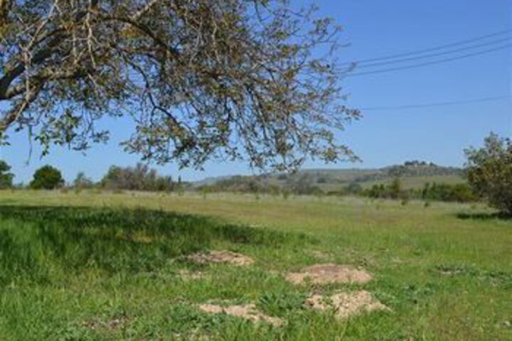 Property Grounds 22 of 27