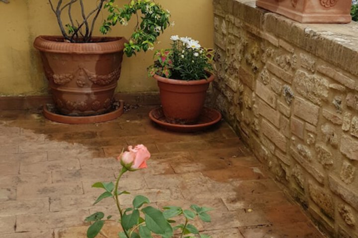 Terrace/Patio 16 of 38