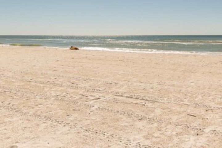 Beach 6 of 45